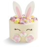 Easter Bunny Ear 8" Cake